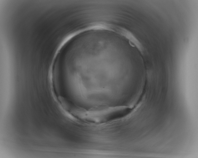 X0000114421428200910231157