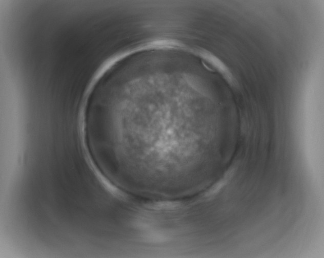 X0000114421430200910231157