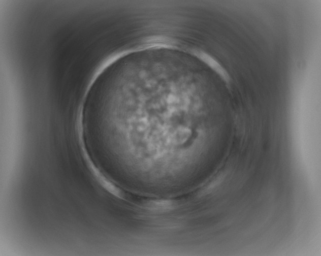 X0000114421431200910231157