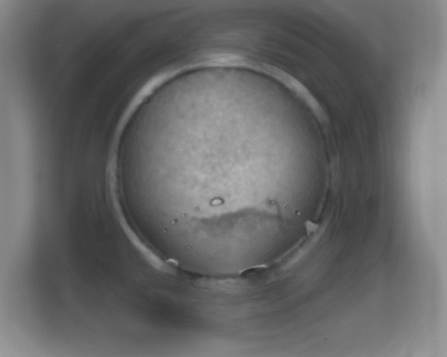 X0000114421432200910231157