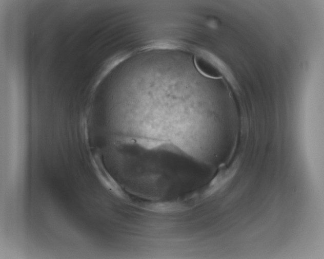X0000114421433200910231157