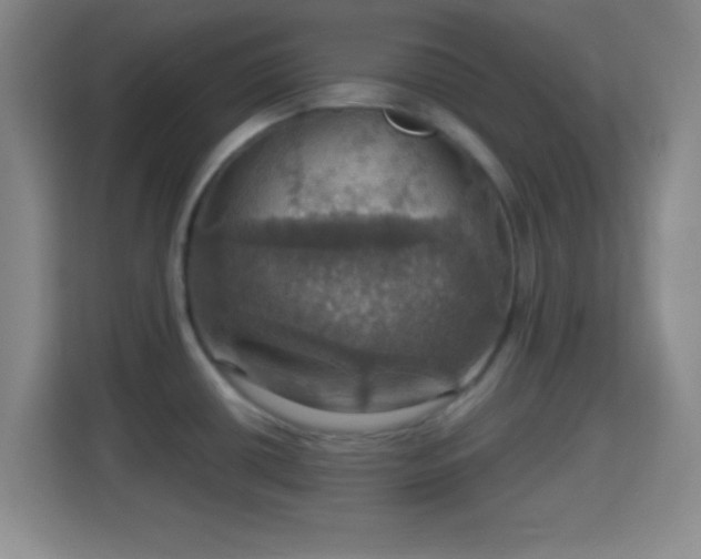 X0000114421434200910231157