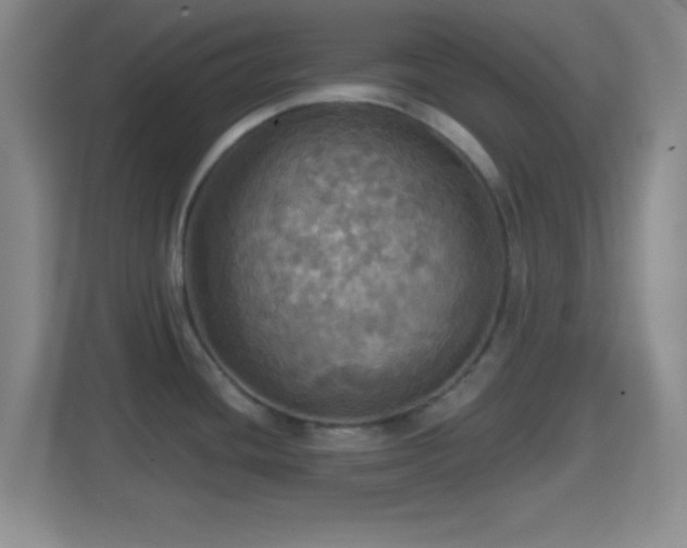 X0000114421436200910231157
