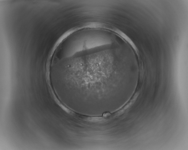 X0000114421437200910231157