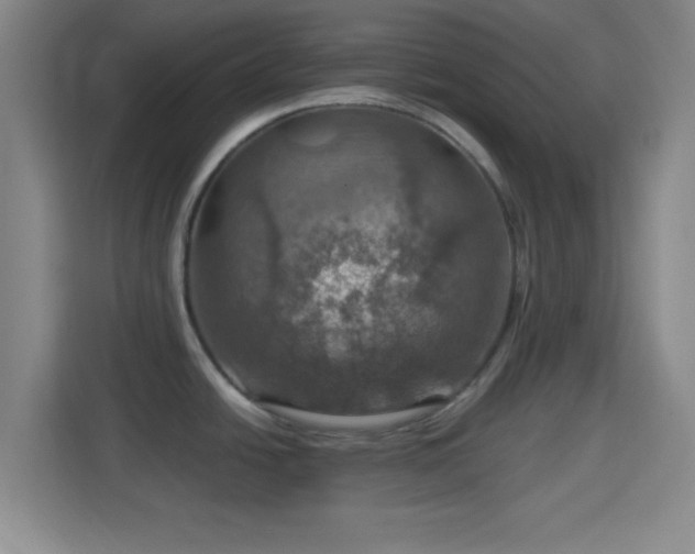 X0000114421438200910231157