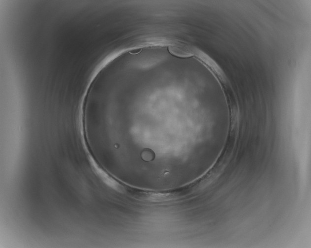 X0000114421439200910231157