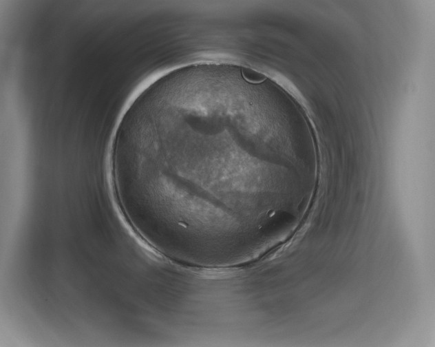 X0000114421440200910231157
