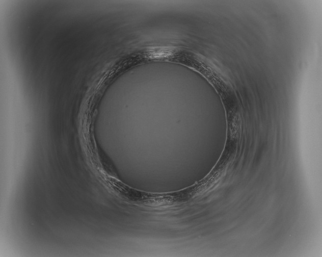 X0000114421441200910231157
