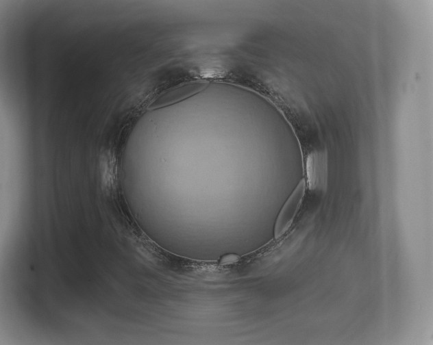 X0000114421443200910231157