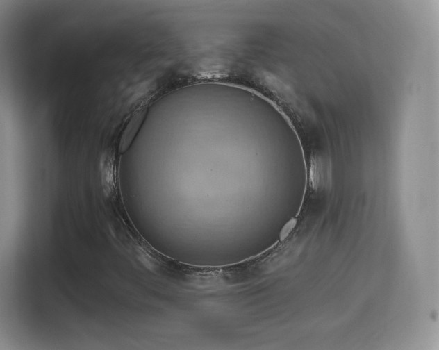 X0000114421444200910231157