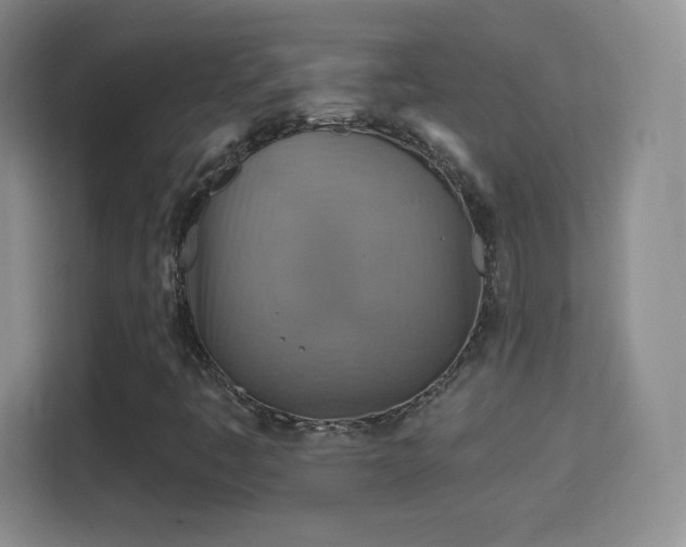 X0000114421445200910231157