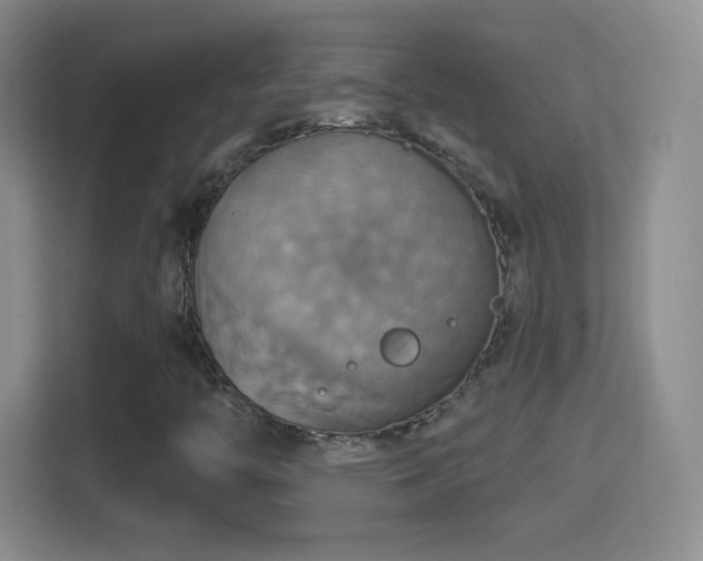 X0000114421446200910231157