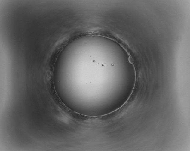 X0000114421447200910231157