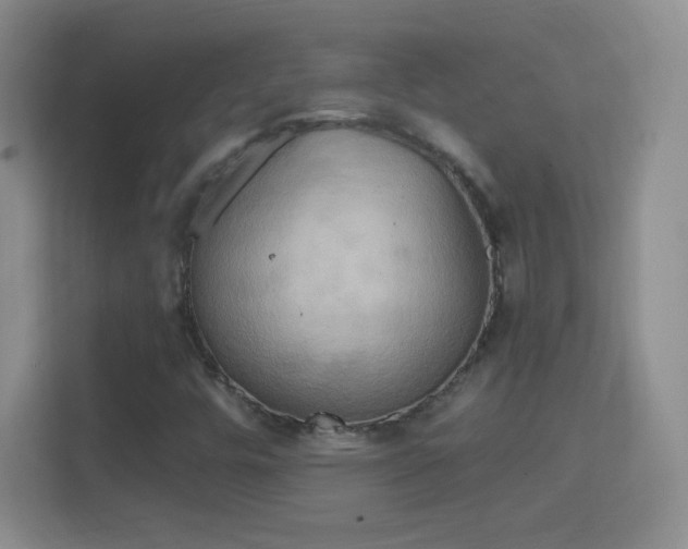X0000114421448200910231157
