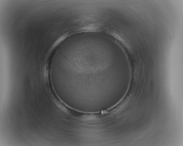 X0000114421450200910231156