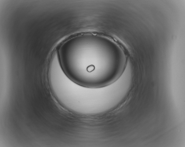 X0000114421452200910231156
