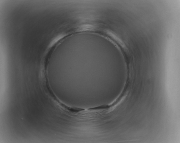 X0000114421453200910231156