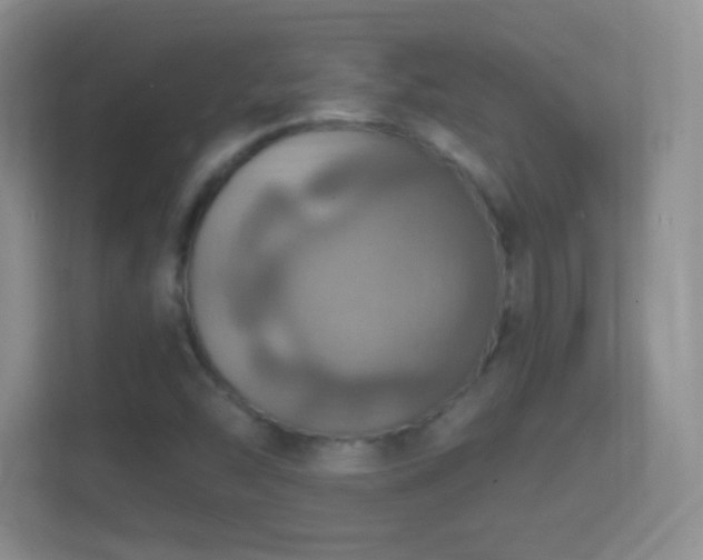 X0000114421454200910231156