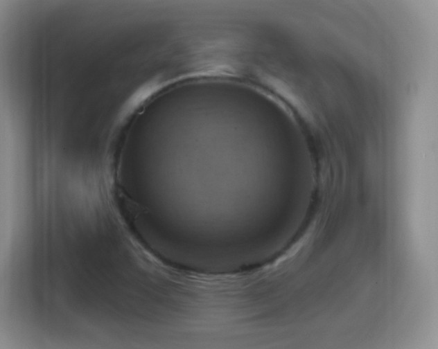 X0000114421455200910231156