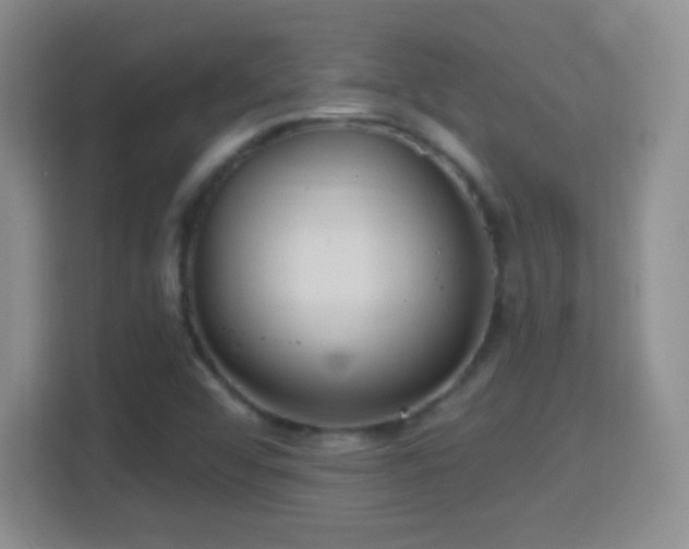 X0000114421456200910231156