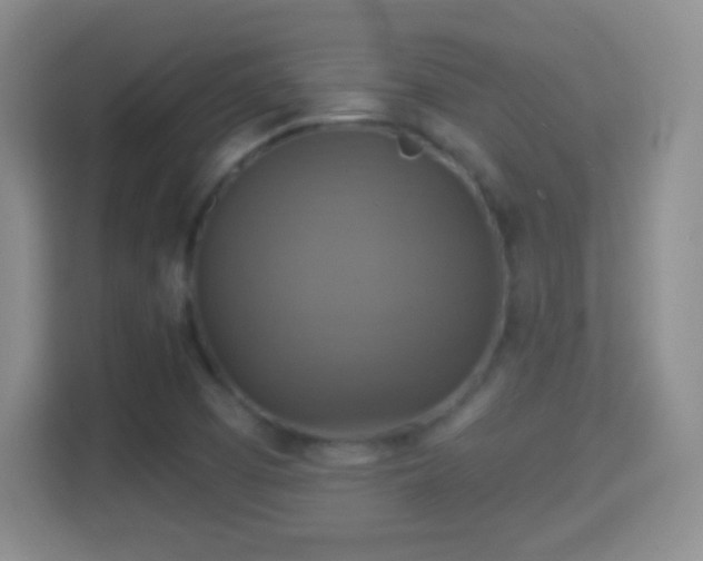 X0000114421457200910231156