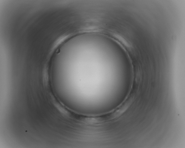 X0000114421458200910231156
