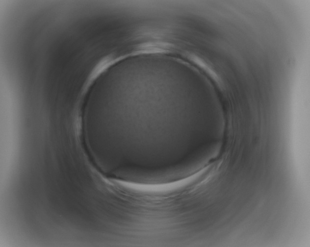 X0000114421459200910231156