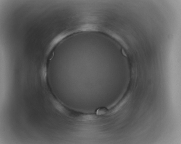 X0000114421461200910231156