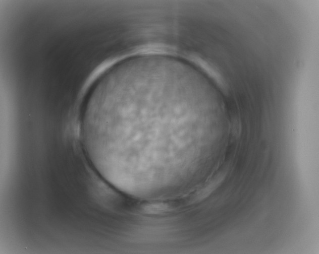 X0000114421462200910231156