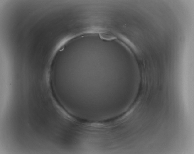 X0000114421463200910231156