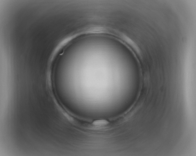 X0000114421464200910231156