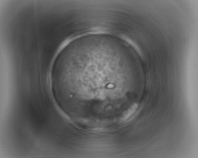 X0000114421467200910231156