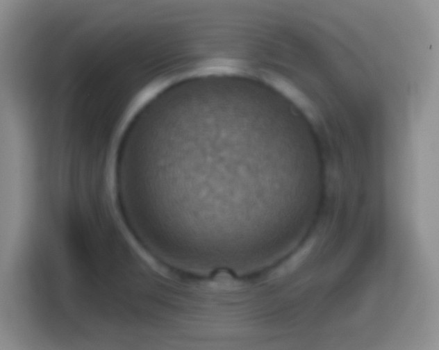 X0000114421469200910231156