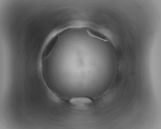 X0000114421472200910231156