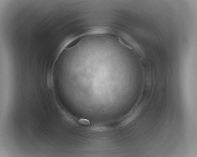 X0000114421473200910231156