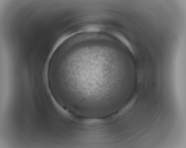 X0000114421475200910231156