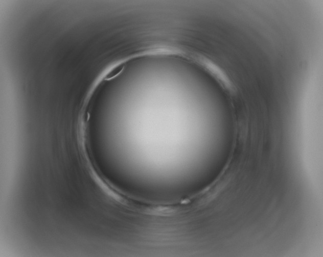 X0000114421476200910231156
