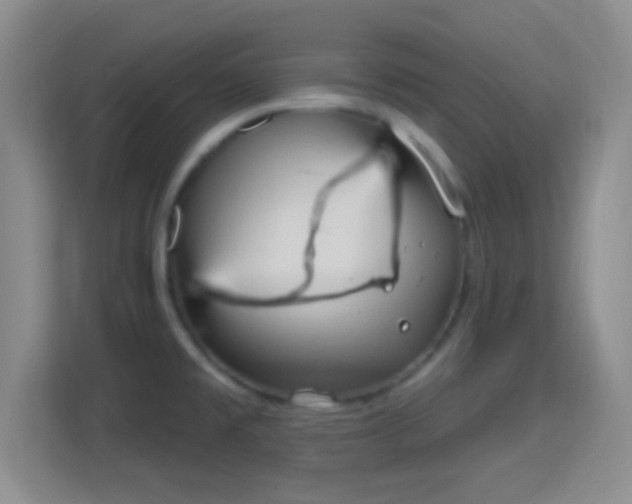 X0000114421477200910231156