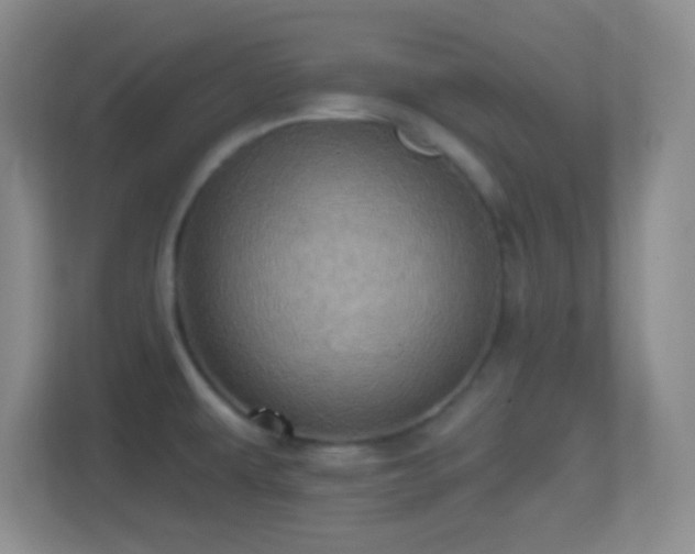 X0000114421479200910231156