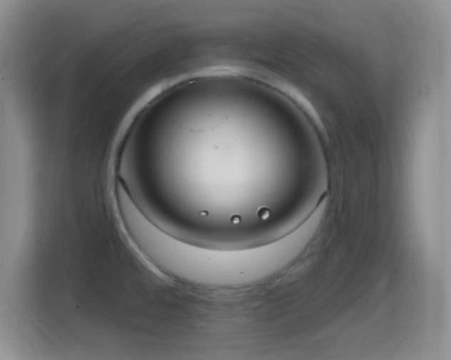 X0000114421480200910231156