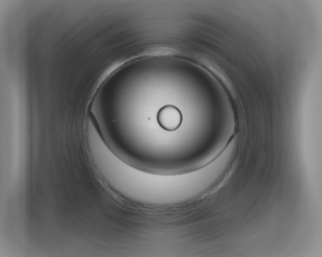 X0000114421481200910231156