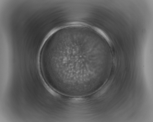 X0000114421482200910231156