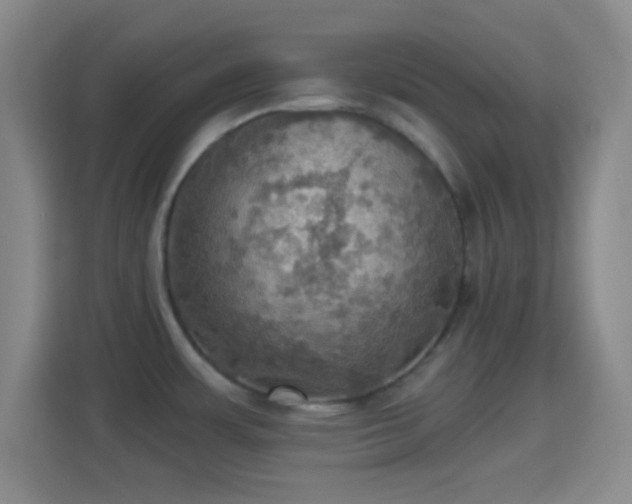 X0000114421483200910231156