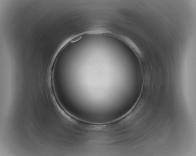 X0000114421484200910231156