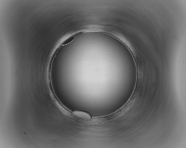X0000114421485200910231156