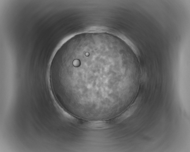 X0000114421486200910231156