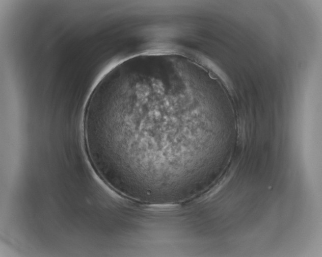 X0000114421487200910231156