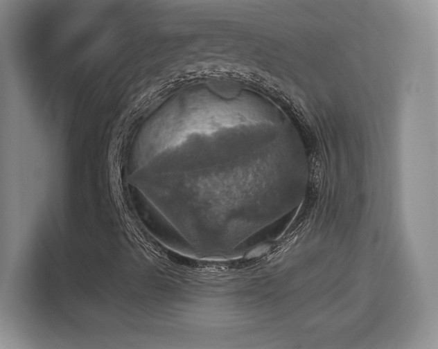 X0000114421489200910231155