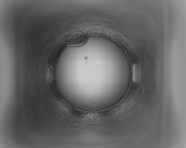 X0000114421491200910231155