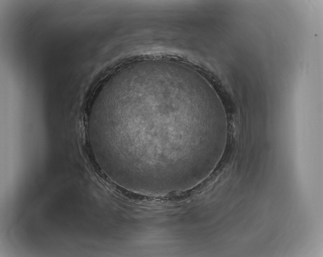 X0000114421493200910231155
